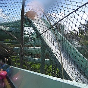 Picture 029